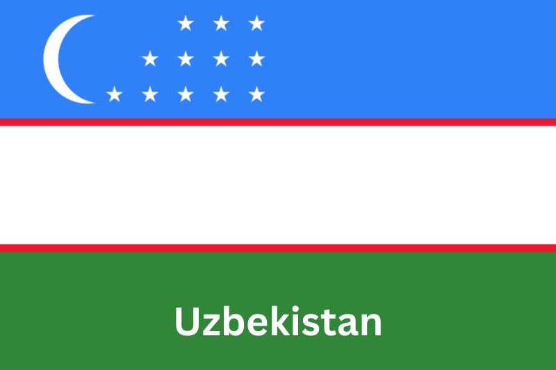 Flag of Uzbekistan for Newspapers and Magazines Directory