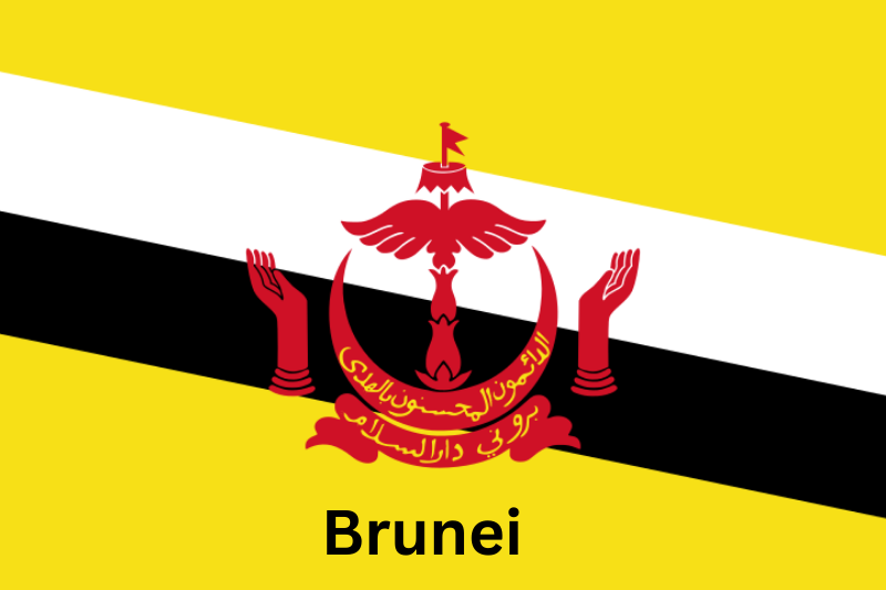 Brunei Flag – Explore Brunei Newspapers and Magazines Directory Online